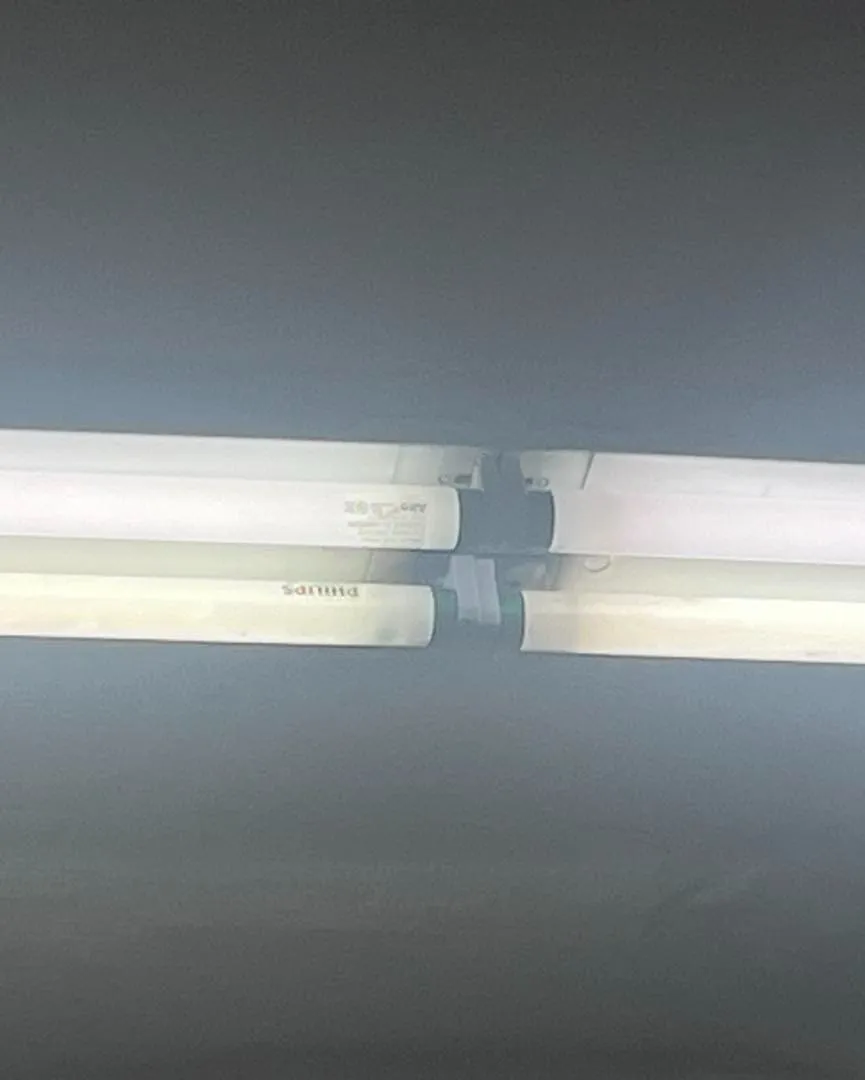 Fluorescent tubes in a store ceiling fixture
